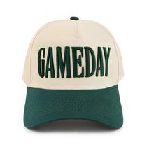 Boné Vintage Bordado PainZieteg 2026 Game Day