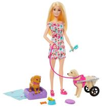 Boneca Barbie Passeio Com Pet Na Cadeira De Rodas - Mattel