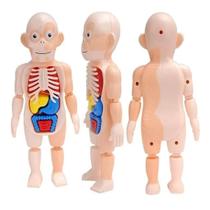 Boneco Anatomia Humana Órgãos Vitais Kit Medico Educativo 3d