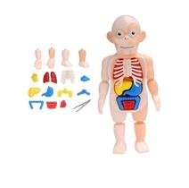 Boneco Anatomia Humana Órgãos Vitais Kit Medico Educativo 3D