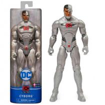 Boneco Articulado Cyborg Liga da Justica DC 30 cm Sunny