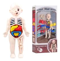 Boneco Corpo Humano 3d Educativo Infantil Órgãos Removíveis Boneco Corpo Humano 3d Educativo Infantil Órgãos Removíveis