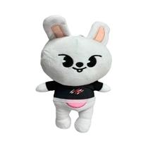 Boneco De Pelúcia Stray Kids Wolf Chan De 20cm, Animal De Estimação De Desenho Animado, Companheiro