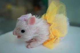 Boneco De Porco De Silicone Realista De 4,5 Polegadas, Brinquedo De Cama Fofo E Realista De 11cm, Boneco De Porco De Silicone Realista De 4,5 Polegadas, Brinquedo De Cama Fofo E Realista De 11cm,