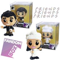 Boneco Pop Ross e Mônica Série de TV Friends Fandom Box