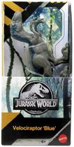 Boneco Velociraptor Blue Jurassic World 15 Cm Mattel JKT64 Boneco Velociraptor Blue Jurassic World 15 Cm Mattel JKT64