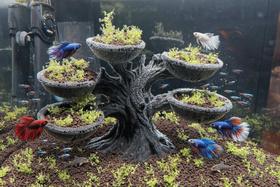 Bonsai Decorativo Aquário Árvore Enfeite Aquapaisagismo Bonsai Decorativo Aquário Árvore Enfeite Aquapaisagismo