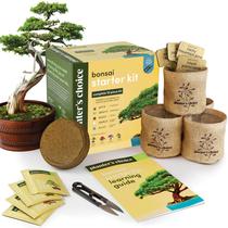Bonsai Starter Kit Planters' Choice com 4 tipos de sementes