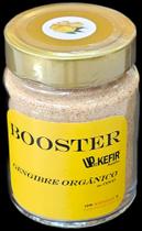 BOOSTER UPdeKEFIR GENGIBRE COM COCO