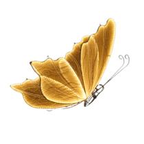 Borboleta Iluminada LED Gigante 100cm Bivolt Dourada Warm Light Arvore de Natal Decoracao Festas Borboleta Iluminada LED Gigante 100cm Bivolt Dourada Warm Light Arvore de Natal Decoracao Festas