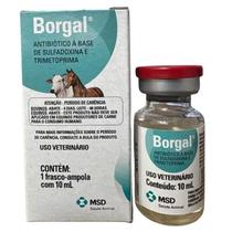 Borgal 10ml msd
