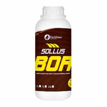 Boro Liquido - Fertilizante Sollus Bor - Frasco 1 Litro