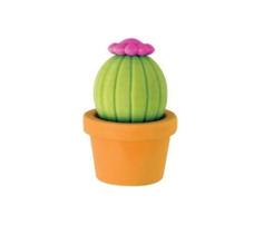Borracha cactus Borracha cactus