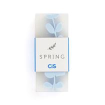 Borracha Escolar Decorada CIS Spring Floral Pasteis Kit 4 Unidades