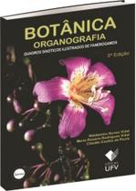 Botânica organografia - quadros sinóticos ilustrados de fanerógamos - UFV - UNIVERSIDADE FEDERAL DE VIÇOSA