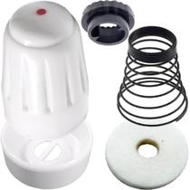 Botão Contra Disco Mola Feltro Reparo Tensor Siruba 737f