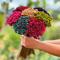 Botão Espeta Nariz - Sempre Vivas - Coloridas