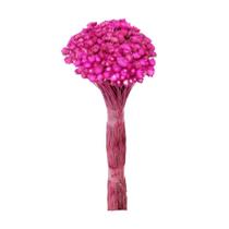 Botão Margarida Rosa Desidratado