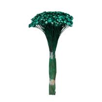 Botão Margarida Verde Desidratado