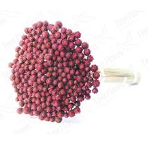 Botão Pimentinha Rosa Flor Desidratada Buque Flores Secas