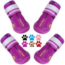 Botas Roxas QUMY para Cães Grandes - Tamanho 4