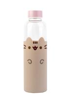 Botella de Agua de Vidrio Grupo Erik Pusheen 500ml Aislada Botella de Agua de Vidrio Grupo Erik Pusheen 500ml Aislada
