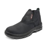 Botina Elástico Bidensidade CA 26835 São José