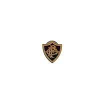 Boton Fluminense Broche Pin Escudo Boton Fluminense Broche Pin Escudo