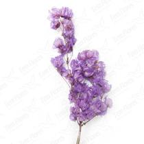 Bougainvile Desidratado Buque Flores Secas
