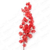 Bougainvile Desidratado Buque Flores Secas - Pense Flores