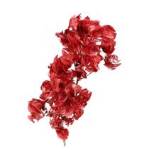 Bougainville Vermelho Bougainville Vermelho