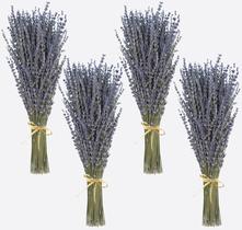 Bouquet de lavanda seca WEALD TRIBE 4 cachos (200g/400-440 hastes)