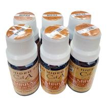 Box Kit 6 Óleos Hidrossolúveis 10ml-Escolha o Seu Aroma