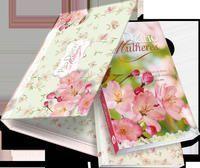 Box - Pao Diario Mulheres - Flores da Terra Box - Pao Diario Mulheres - Flores da Terra