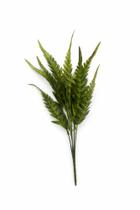 Bq samambaia c/verde 40cm