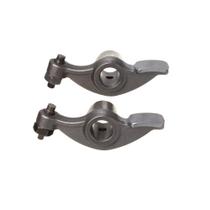 Braco Oscilante Ww3 (par) Ybr 125 F016