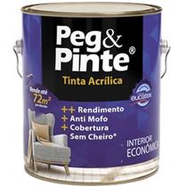 Branco - peg & pinte tinta acr branco neve