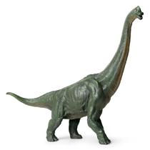 Braquiossauro Brachiosaurus dinossauro gigante 40 cm