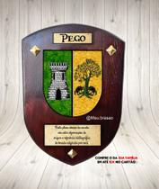 Brasão da família Pego ( na madeira) Brasão da família Pego ( na madeira)