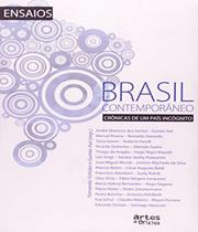 Brasil contemporaneo - ARTES E OFICIOS