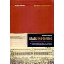 BRASIL EM PROJETOS: HISTÓRIA DOS SUCESSOS POLÍTICOS E PLANOS DE MELHORAMENTO DO -