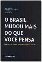 Brasil Mudou Mais do Que Você Pensa, O - FGV