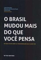 Brasil Mudou Mais do Que Você Pensa, O Sortido - FGV Brasil Mudou Mais do Que Você Pensa, O Sortido - FGV