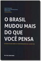 Brasil Mudou Mais do Que Você Pensa, O: Um Novo Olhar Sobre as Transformações Das Classes CDE Brasil Mudou Mais do Que Você Pensa, O: Um Novo Olhar Sobre as Transformações Das Classes CDE