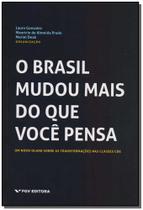 Brasil Mudou Mais do Que Você Pensa, O: Um Novo Olhar Sobre as Transformações Das Classes CDE