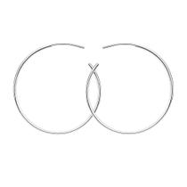 Brinco Argola Lisa com Tarraxa Banhado a Prata Brinco Argola Lisa com Tarraxa Banhado a Prata