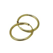 Brinco Argola Ouro Dourado BRX0308