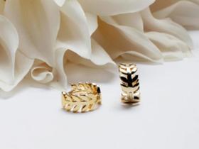 Brinco argola ramo de follhas 15mm banhado a Ouro