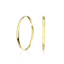 Brinco Argola Redonda Em Ouro 18K