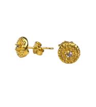 Brinco Círculo Com Zircônia Central Folheado Em Ouro 18K